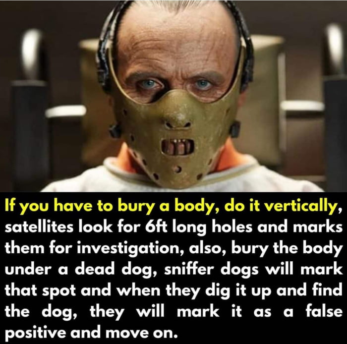 If you have to bury a body do it vertically satellites look for 6ft long holes and marks them for investigation also bury the body under a dead dog sniffer dogs will mark that spot and when they dig it up and find the dog they will mark it as a false positive and move on