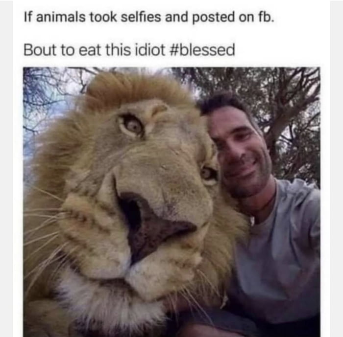 If animals took selfies and posted on fb Bout to eat this idiot blessed