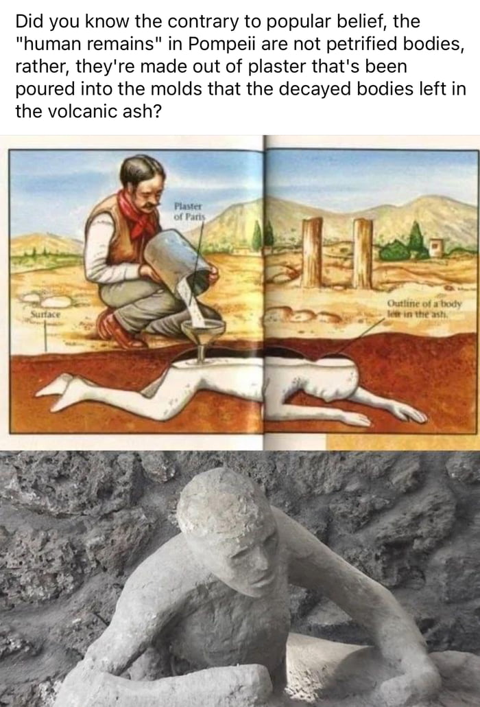 Did you know the contrary to popular belief the human remains in Pompeii are not petrified bodies rather theyre made out of plaster thats been poured into the molds that the decayed bodies left in the volcanic ash