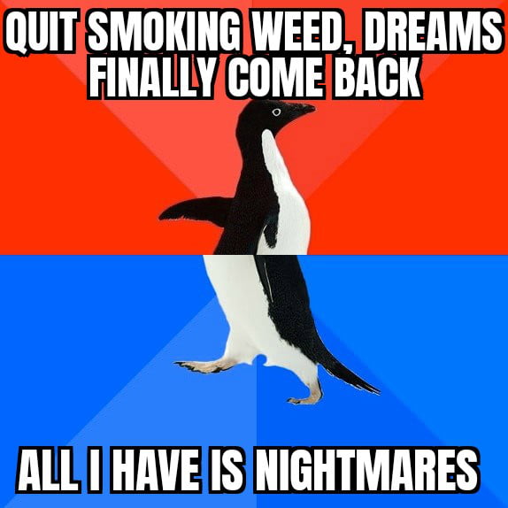 QUITISMOKINGWEED DREAMS FINALLYCOME BACK o ALLYIHAVEISINIGHTMARES