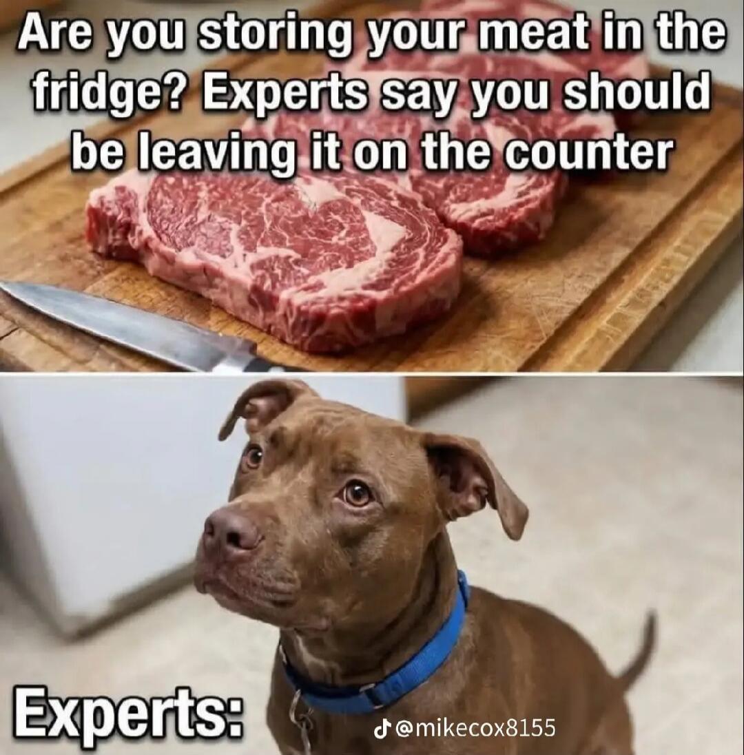 ARE YOU STORING YOUR MEAT IN THE FRIDGE? Experts say you should be leaving it on the counter. Experts: