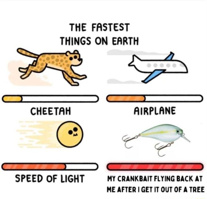 THE FASTEST THINGS ON EARTH Ga o aEaEaas CHEETAH AIRPLANE o H EOIEwrTTs SPEED OF LIGHT MY CRANKBAIT FLYING BACK AT ME AFTER GET IT OUT OF A TREE