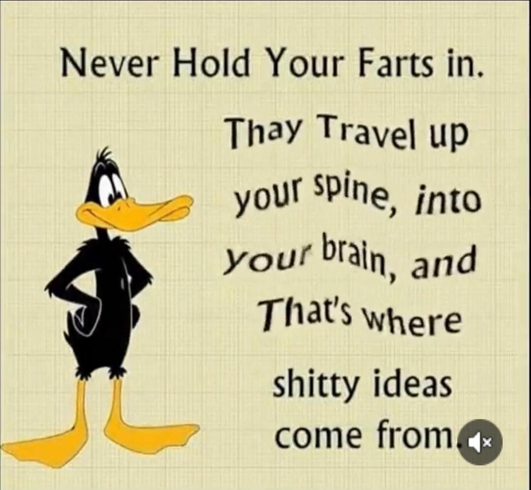 Never Hold Your Farts in. Thay Travel up your spine, into your brain, and That's where shitty ideas come from.