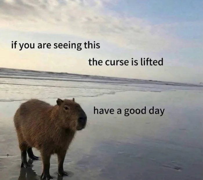if you are seeing this the curse is lifted have a good day