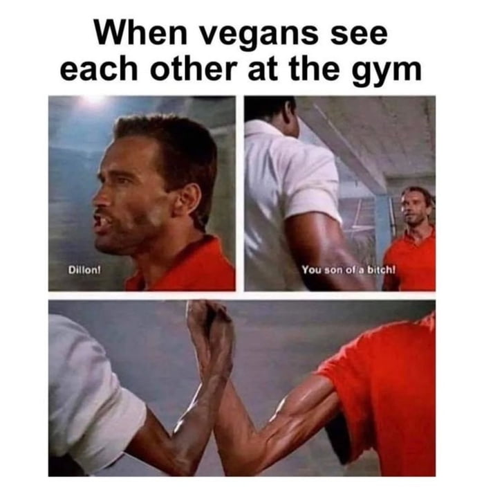 When vegans see each other at the gym