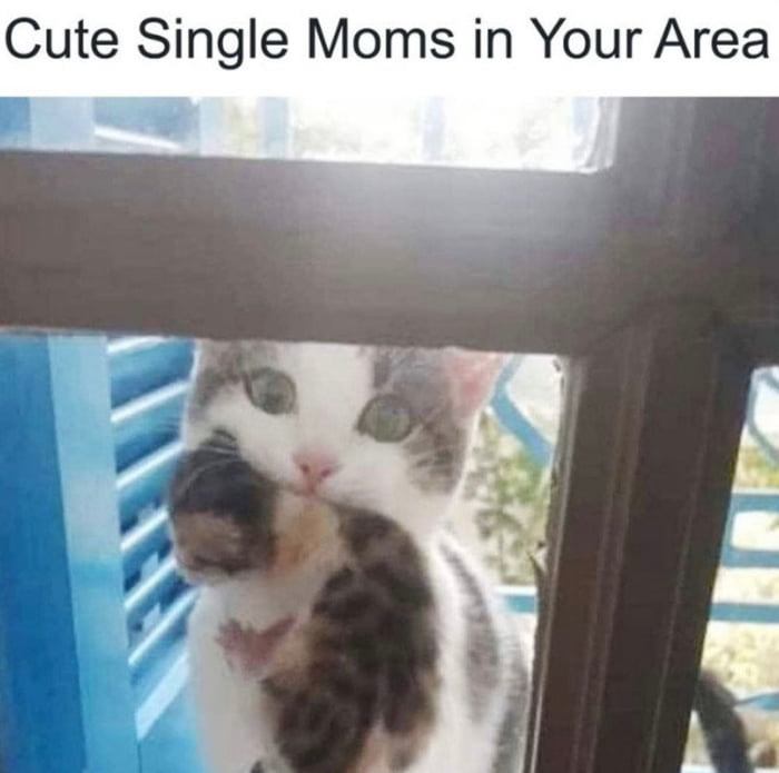 Cute Single Moms in Your Area