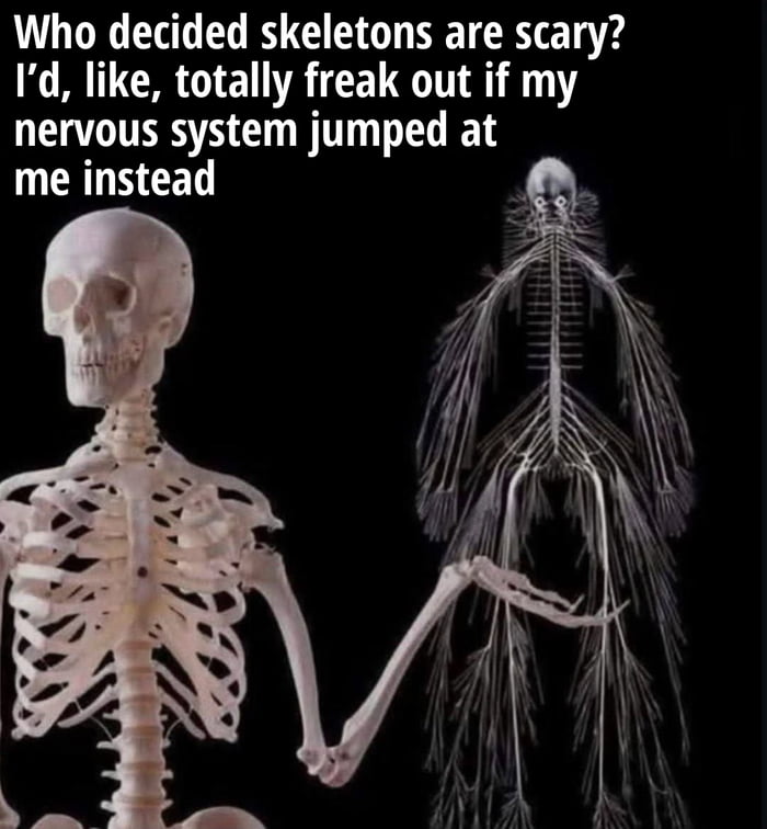 Who decided skeletons are scary? I'd, like, totally freak out if my nervous system jumped at me instead