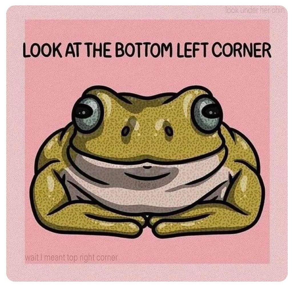 LOOK AT THE BOTTOM LEFT CORNER