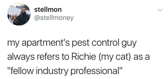 B stellmon y stellmoney my apartments pest control guy always refers to Richie my cat as a fellow industry professional