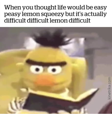 When you thought life would be easy peasy lemon squeezy but its actually difficult difficult lemon difficult