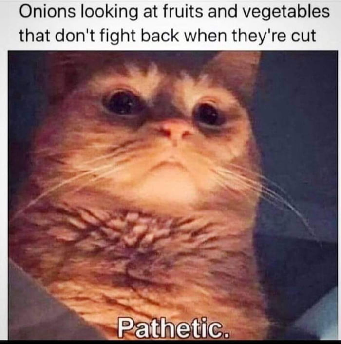 Onions looking at fruits and vegetables that dont fight back when theyre cut Pathetic