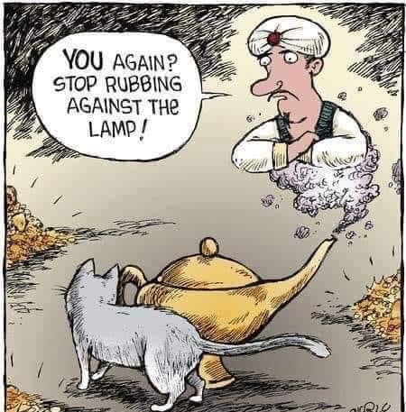 YOU AGAIN STOP RUBBING AGAINST THe LAMP