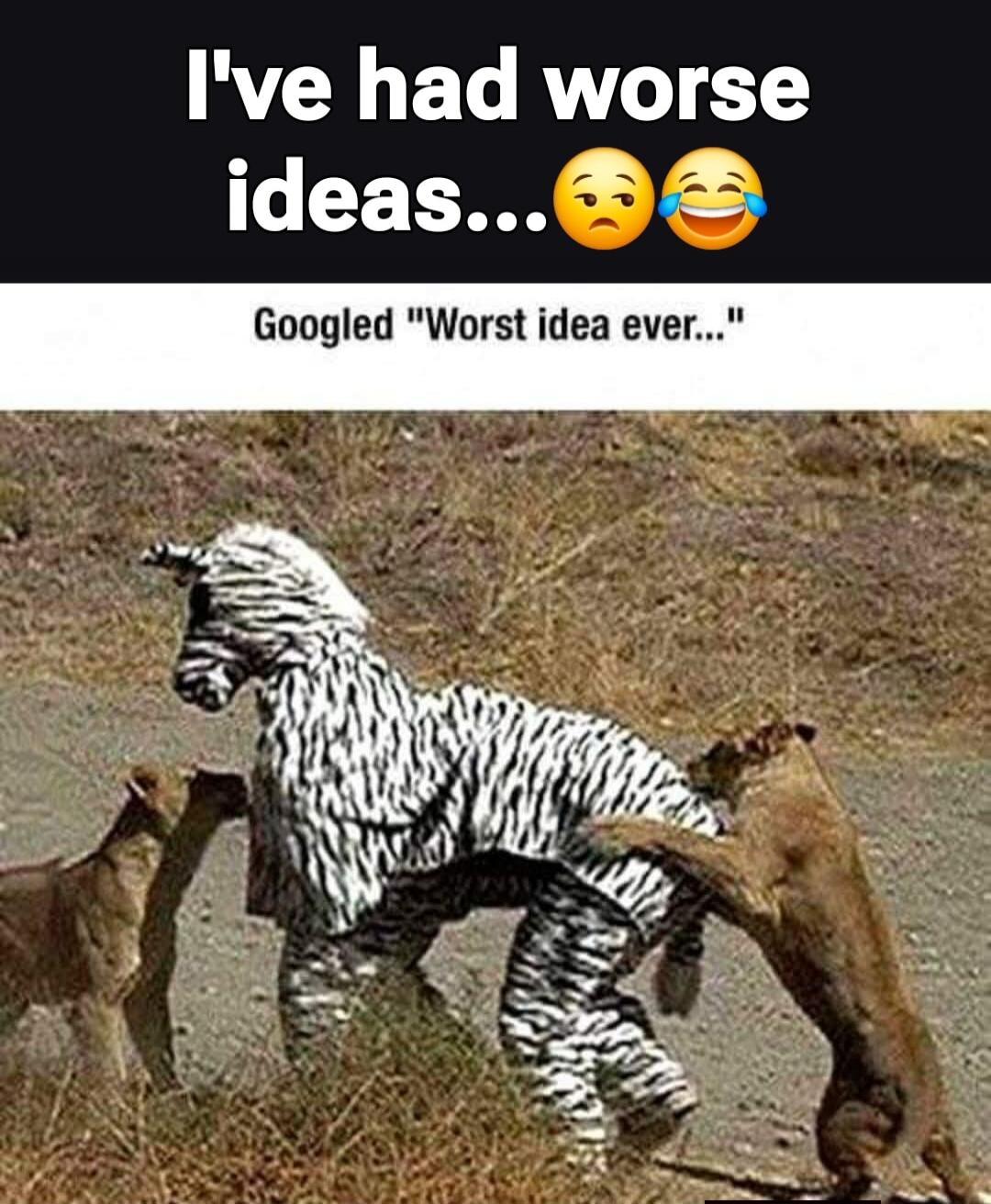 I've had worse ideas... 😟😂
Googled 