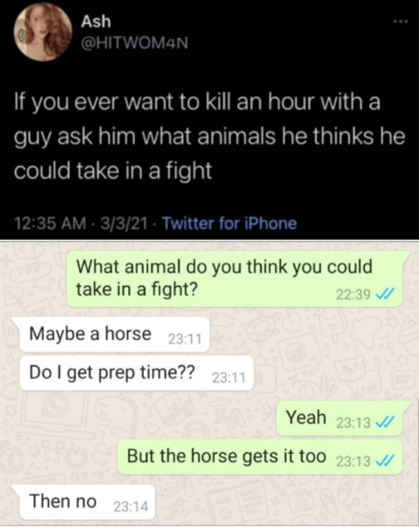 Q Ash If you ever want to kill an hour with a guy ask him what animals he thinks he olele RICRIaIR Tea Twitter for iPhone What animal do you think you could take in a fight Maybe a horse Do get prep time Yeah But the horse gets it too Then no