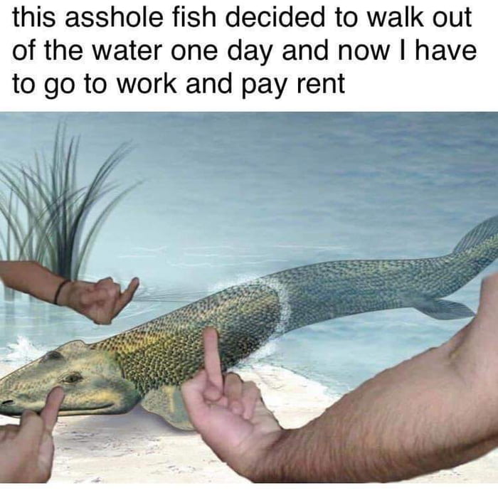 this asshole fish decided to walk out of the water one day and now have to go to work and pay rent