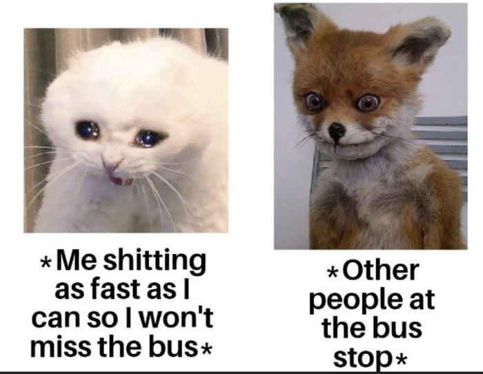 Me shitting Other asfastas people at canso wont the bus miss the bus stop