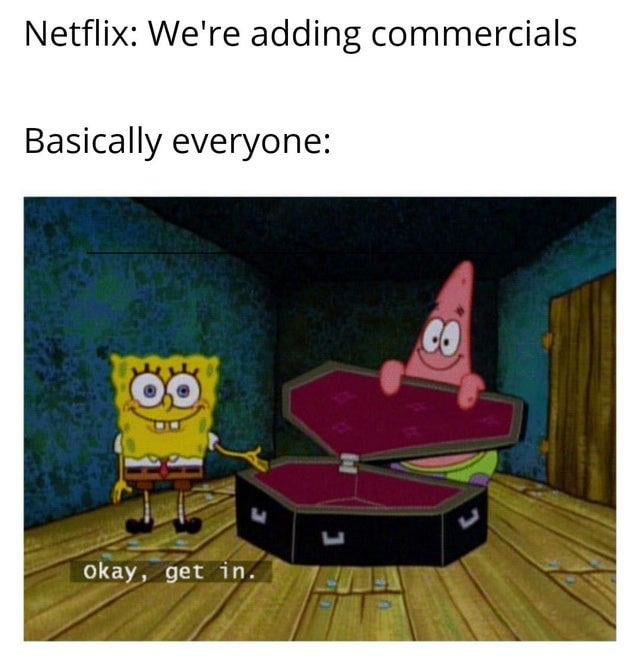 Netflix Were adding commercials Basically everyone okay get 1in