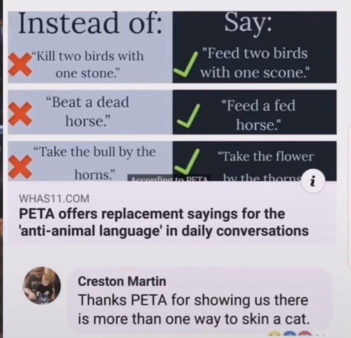 Instead of Say Kill two birds with J Feed two birds one stone with one scone Beat a dead horse o bnlwm horns PETA offers replacement sayings for the anti animal language in daily conversations 9 Creston Martin i Thanks PETA for showing us there is more than one way to skin a cat