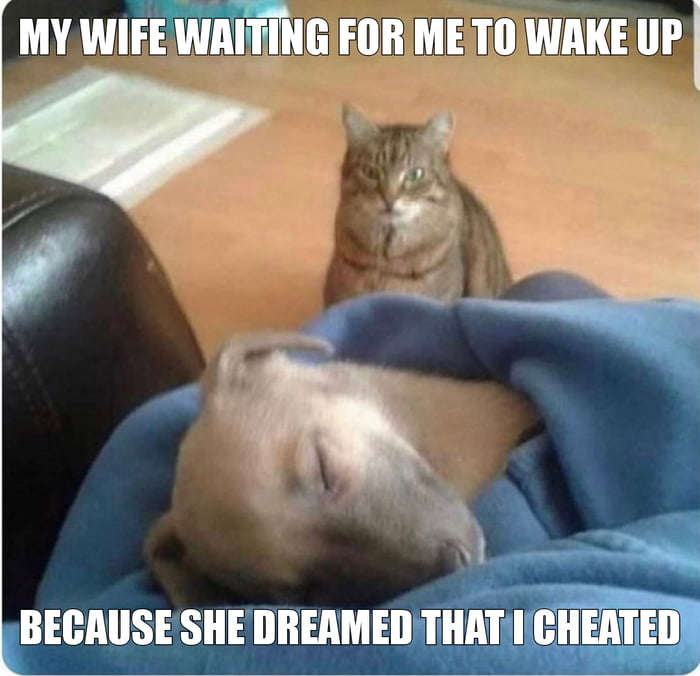 MY WIFE WAITING FORIMET0 WAKE UP BECAUSE SHE DREAMED THAT CHEATE