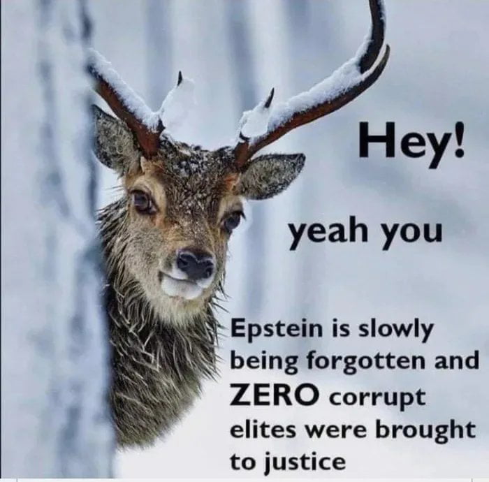 yeah you Epstein is slowly being forgotten and ZERO corrupt elites were brought to justice
