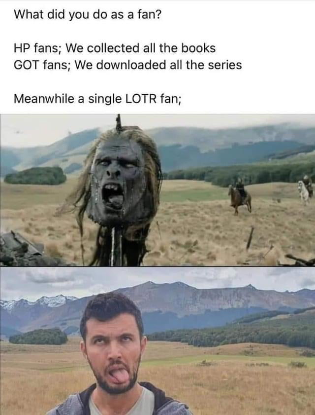 What did you do as a fan HP fans We collected all the books GOT fans We downloaded all the series Meanwhile a single LOTR fan