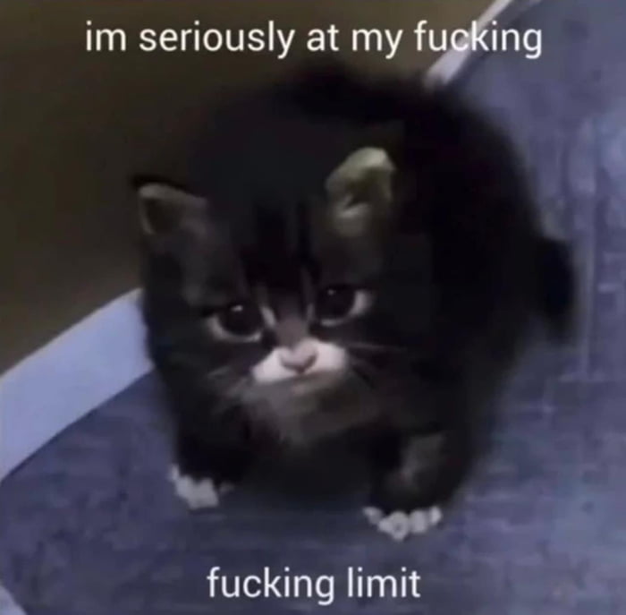 im seriously at