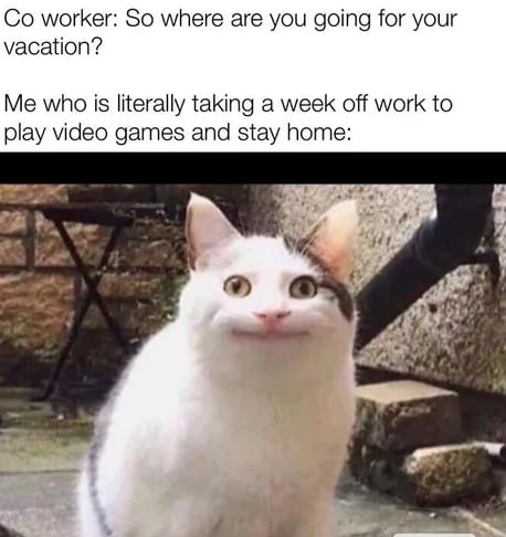 Co worker So where are you going for your vacation Me who s literally taking a week off work to play video games and stay home