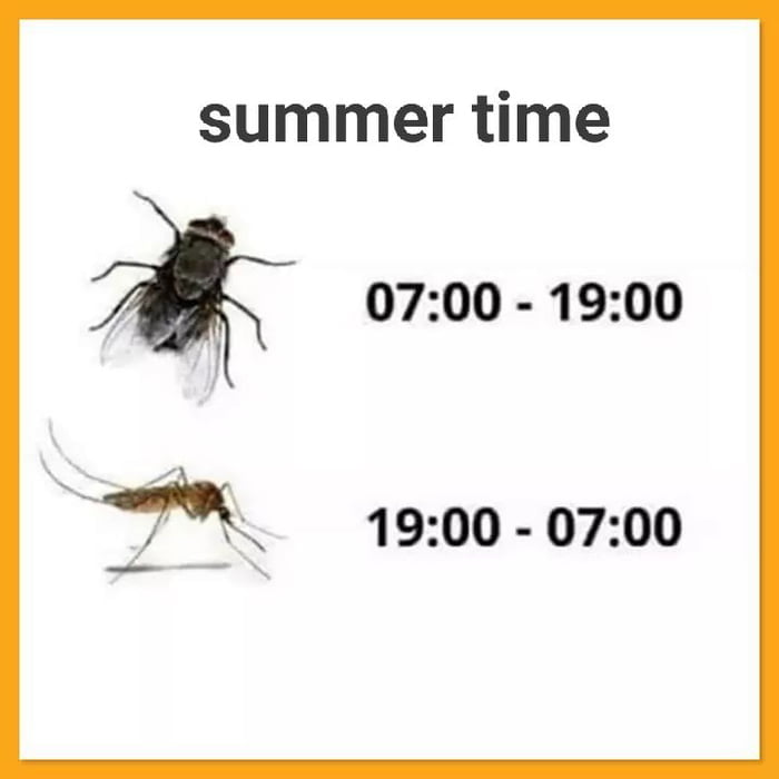 summer time 2 0700 1900 P 1900 0700