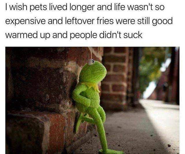 wish pets lived longer and life wasnt so expensive and leftover fries were still good warmed up and people didnt suck