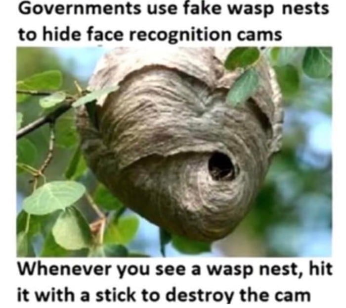 Governments use fake wasp nests to hide face recognition cams Whenever you see a was nest hit it with a stick to destroy the cam