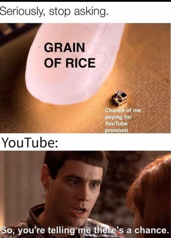 Seriously stop asking GRAIN OF RICE LN So youre telling njgf a chance