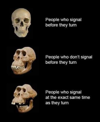 H B I People who signal LEGIERGETR TG People who dont signal before they tum People who signal at the exact same time ESUCRTT