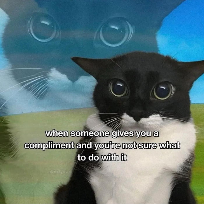when someone gives you a compliment and you're not sure what to do with it