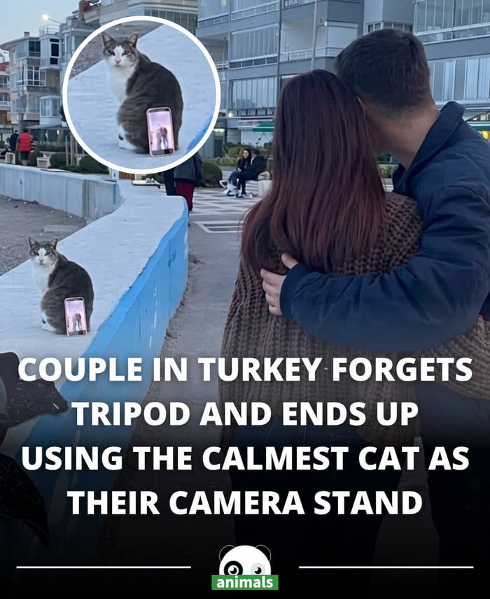 COUPLE IN TURKEY FORGETS TRIPOD AND ENDS UP USING THE CALMEST CAT AS THEIR CAMERA STAND