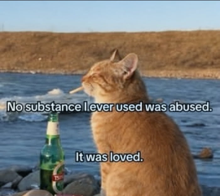 No substance I ever used was abused. It was loved.