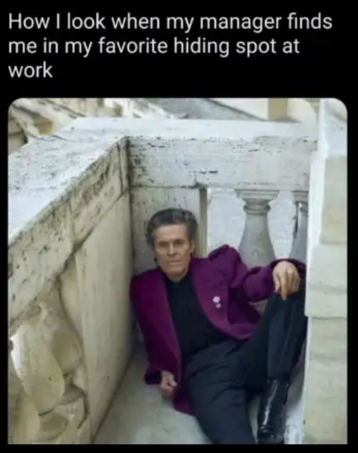 How I look when my manager finds me in my favorite hiding spot at work