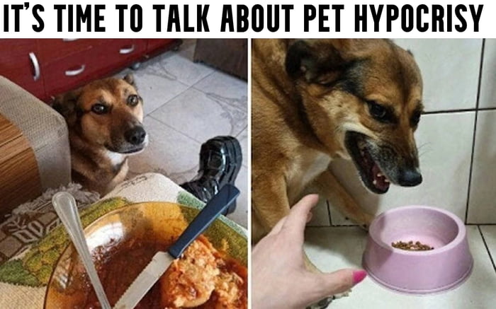 IT'S TIME TO TALK ABOUT PET HYPOCRISY