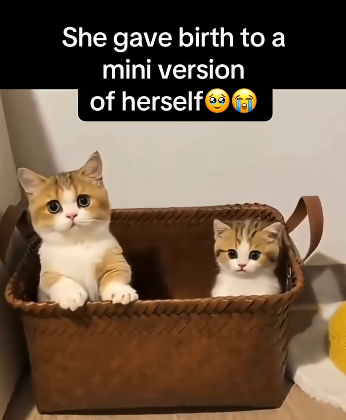 She gave birth to a mini version of herself 😢😭