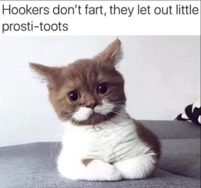 Hookers don't fart, they let out little prosti-toots
