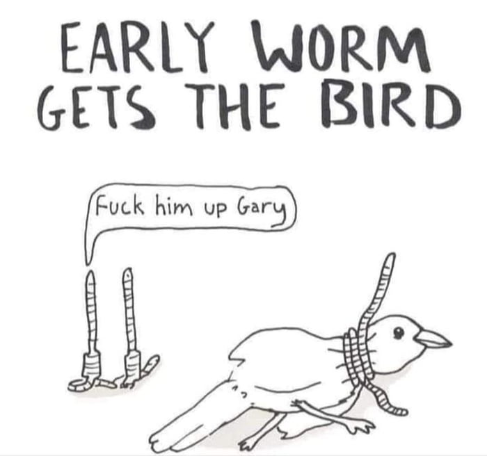 EARLY WORM GETS THE BIRD

