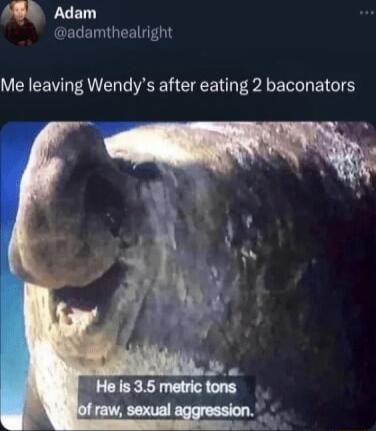 Adam Me leaving Wendys after eating 2 baconators