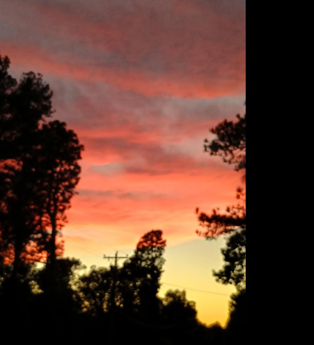 Silhouetted trees against a vivid orange-pink sunset sky.