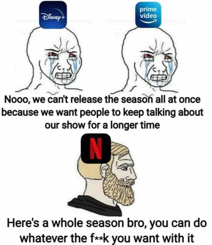 Nooo we cant release the season all at once because we want people to keep talking about our show for a longer time Heres a whole season bro you can do whatever the fk you want with it