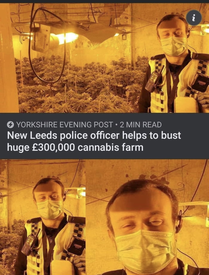YORKSHIRE EVENING POST 2 MIN READ New Leeds police officer helps to bust huge 300000 cannabis farm