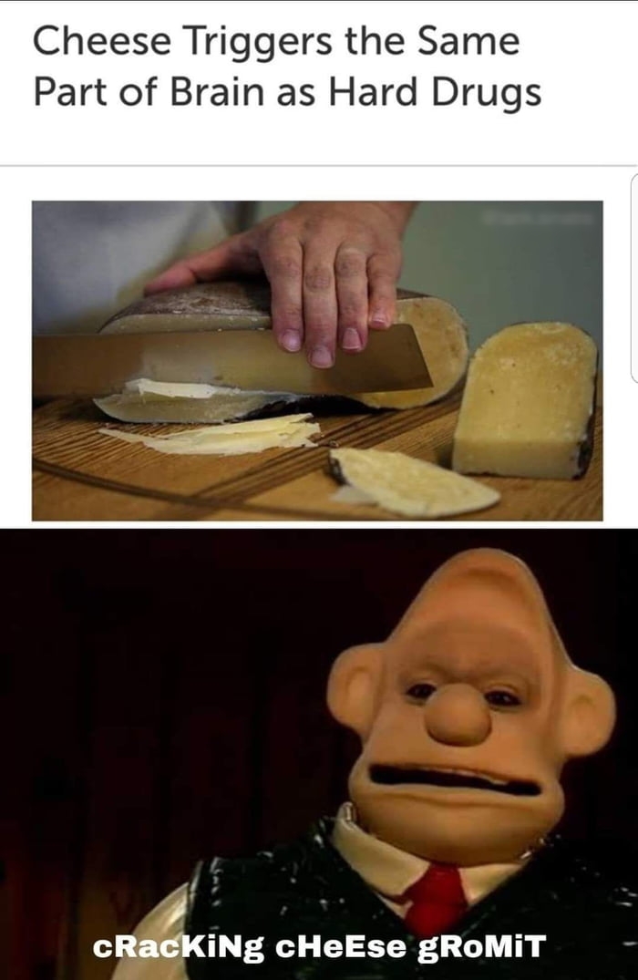 Cheese Triggers the Same Part of Brain as Hard Drugs cRackKiNg cHeEse gROMIT