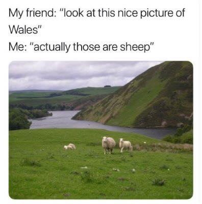 My friend look at this nice picture of Wales Me actually those are sheep