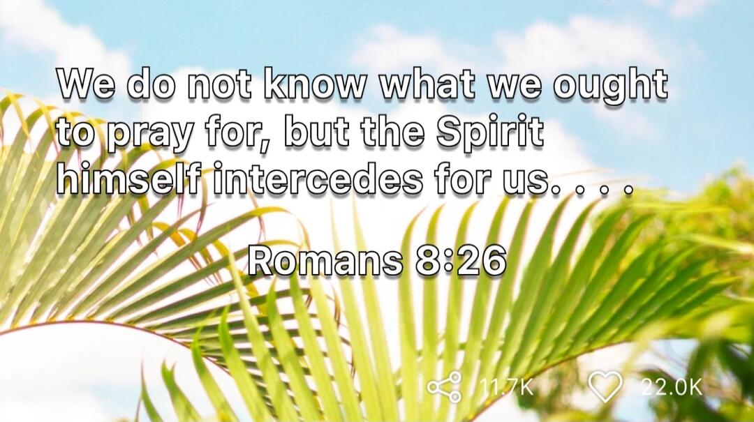 We do not know what we ought to pray for, but the Spirit himself intercedes for us. . . . Romans 8:26