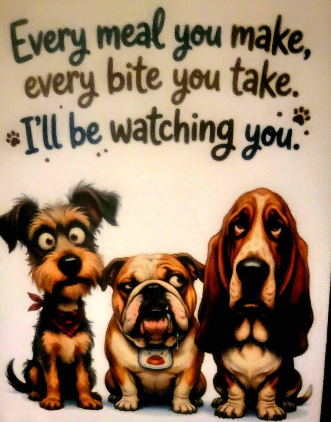Every meal you make, every bite you take. I'll be watching you.