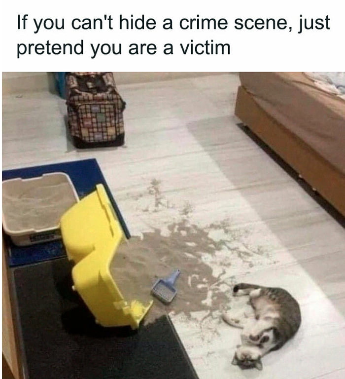 If you cant hide a crime scene just pretend you are a victim