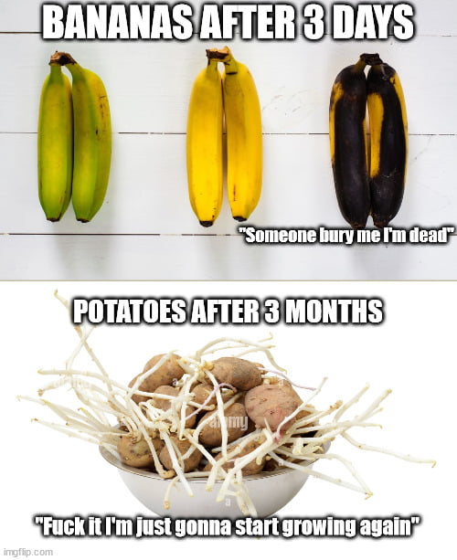 SSBANANASAFTER3DAYS f